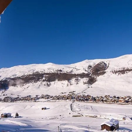 Claudia Livigno